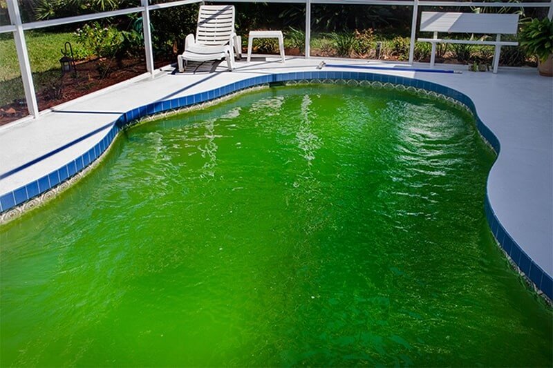  Hướng dẫn xử lý tảo hồ bơi an toàn, hiệu quả 100%